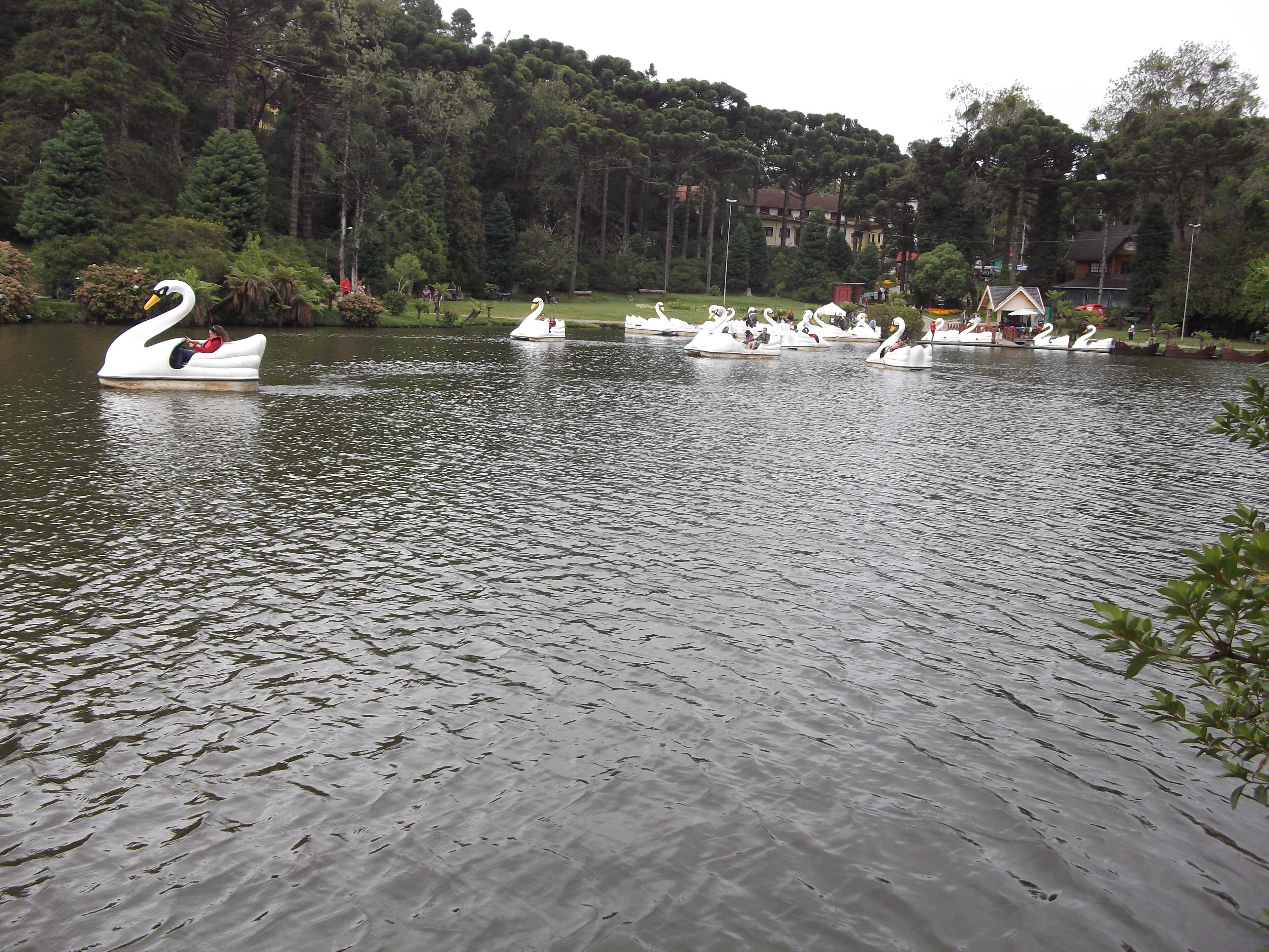 Lago Negro