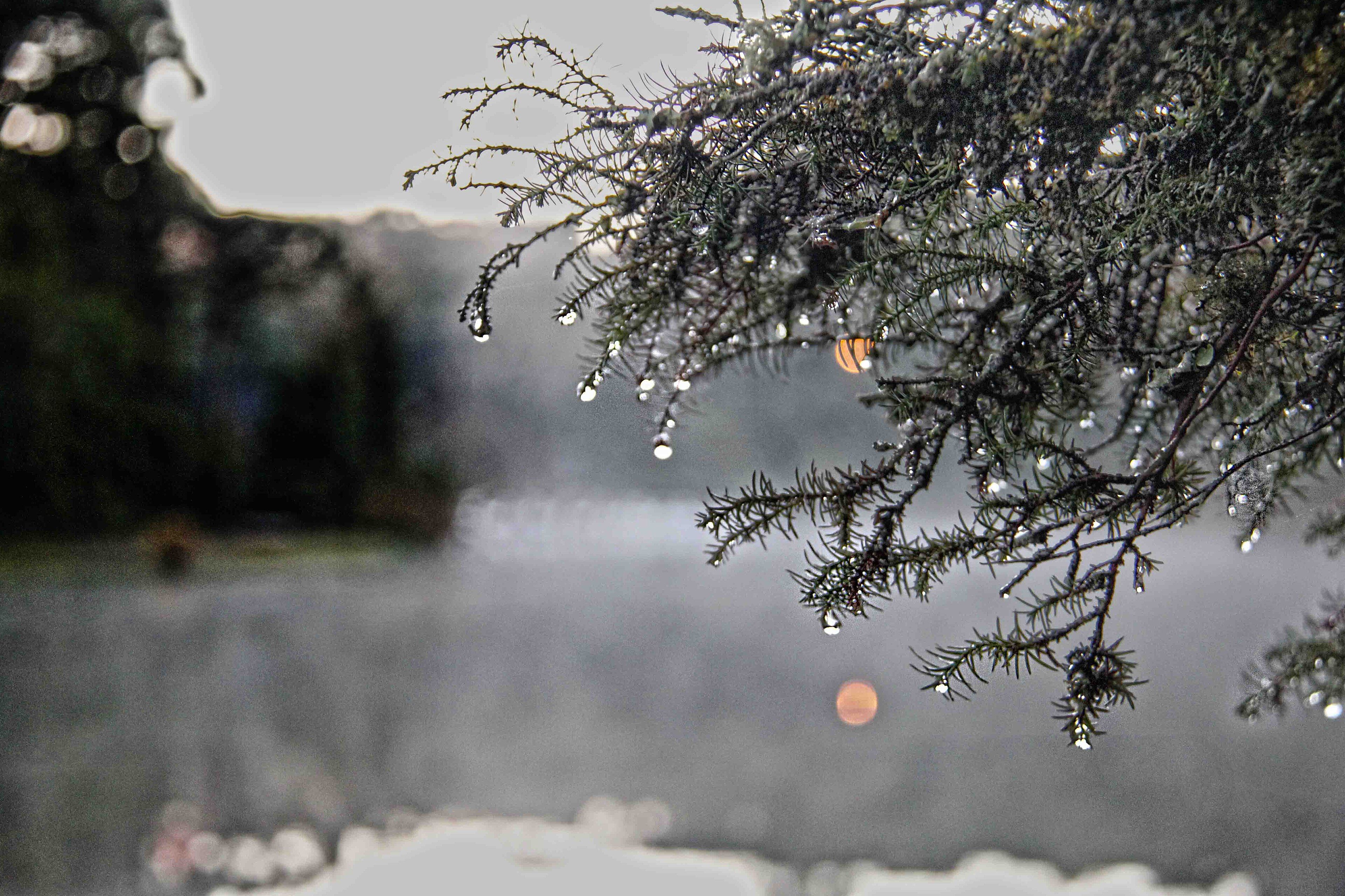 Gramado no inverno: como planejar a viagem mais disputada do ano
