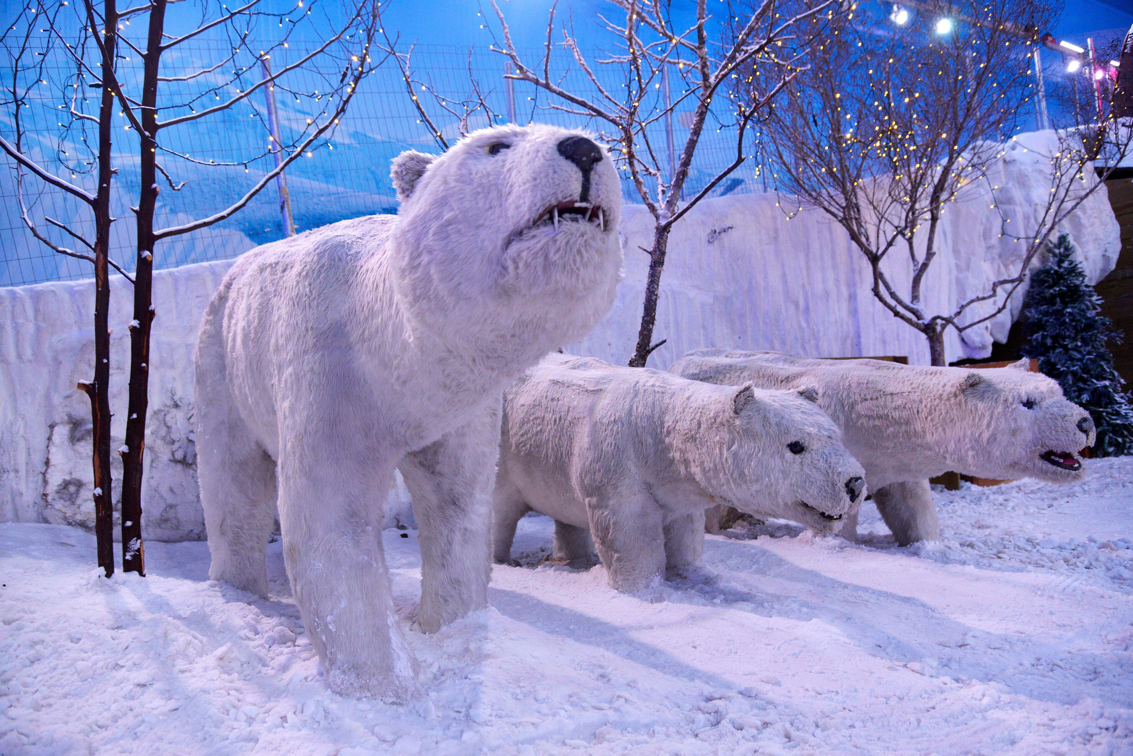 Snowland
